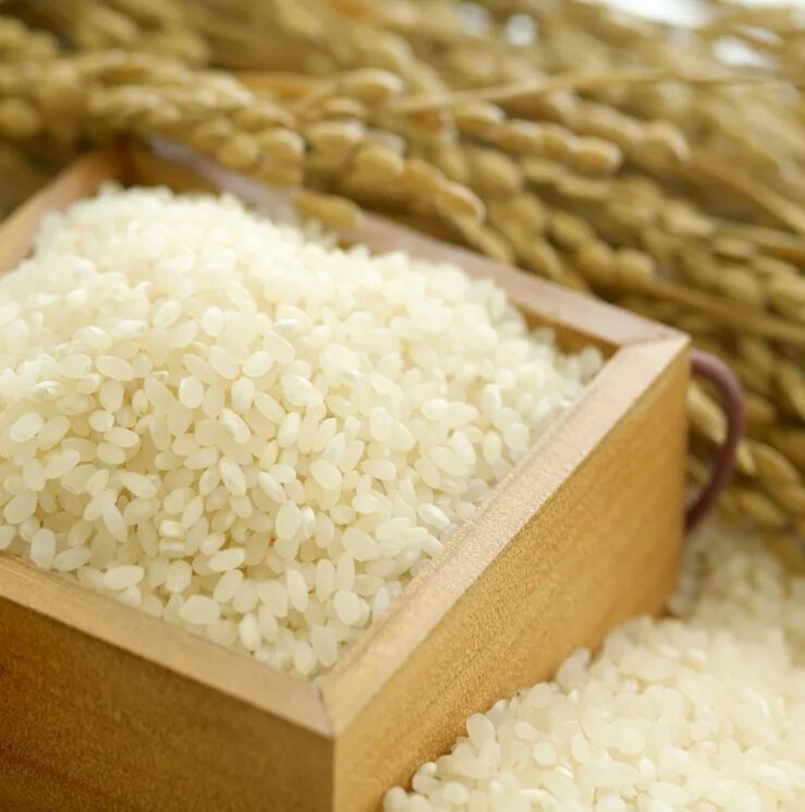 Какой рис в китае. Круглый рис. Китайский рис. Рис в Китае. Рис для суши китайский.