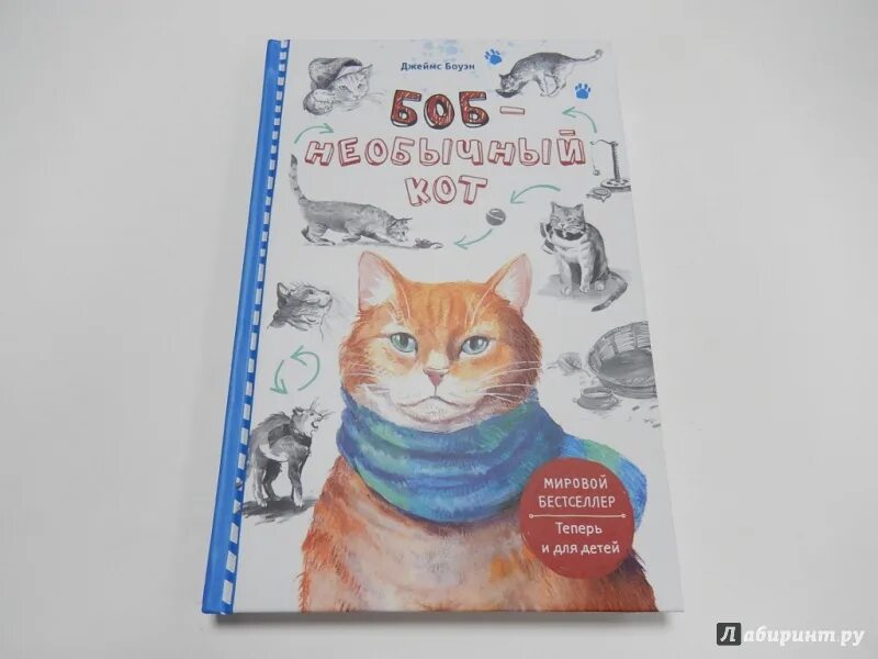 Книга кот боб читать. Боб необычный кот книга. иллюстрации из книги кот по имени боб. бестселлеры про котов.
