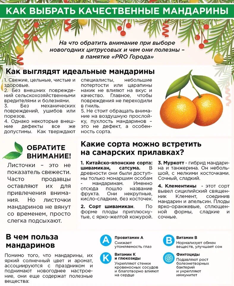 При какой температуре хранить мандарины. Как выбрать мандарины. мандарины инфографика. чем полезны мандарины. как выбрать мандарины сладкие.
