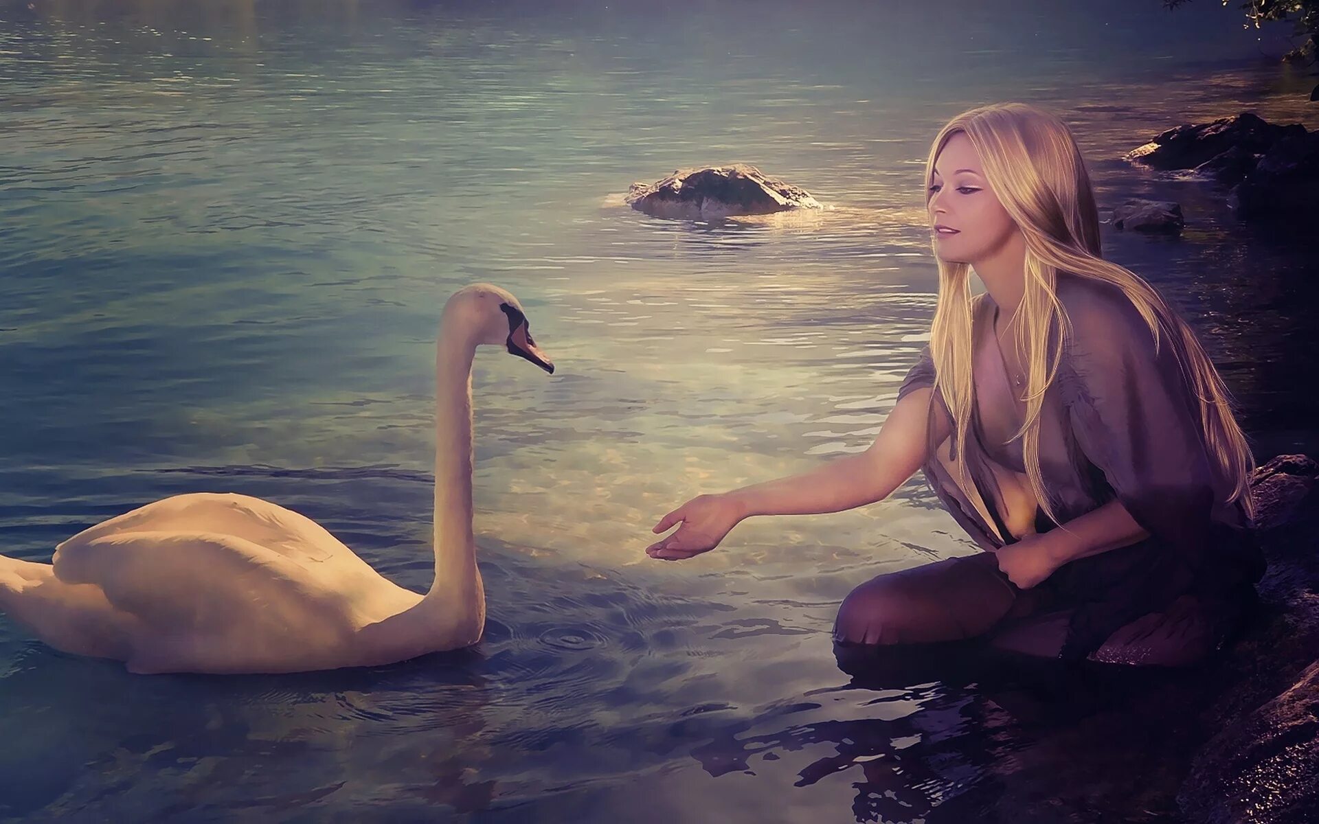 Устала лебедь. Девушка у озера с лебедями. Фотосессия с лебедем. Девочка лебедь. Девушки на озере.