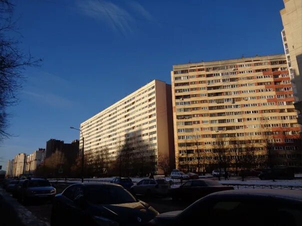 Геморроя нет ул рихарда зорге 33 1. Санкт-петербург, улица рихарда зорге, 10. рихарда зорге 10. рихарда зорге 15 санкт-петербург. рихарда зорге 10 спб.