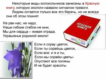 Занесен в книгу