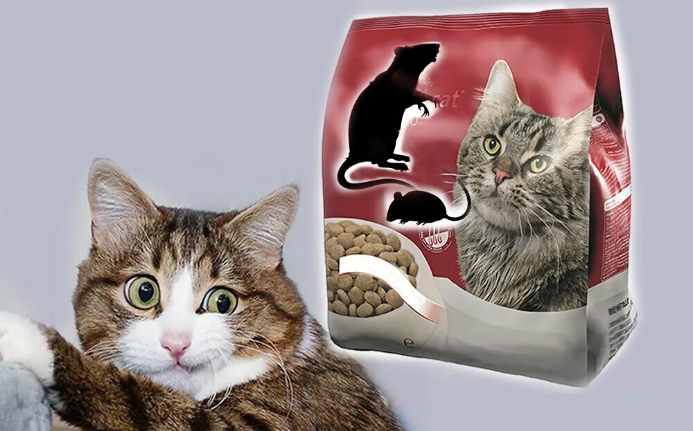 Прибавь коте