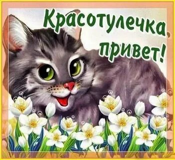 Карти добр