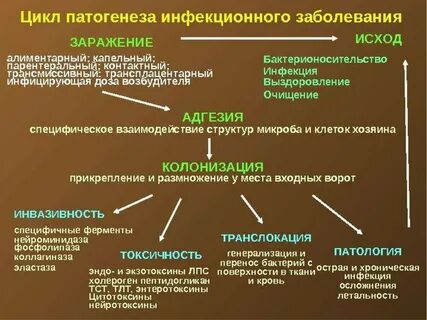Стадии хирургической инфекции