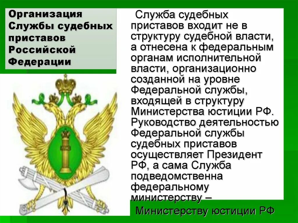 Структура службы судебных приставов РФ схема. Организация судебных приставов. Иерархия службы судебных приставов. Герб судебных приставов РФ. Федеральная служба судебных приставов система