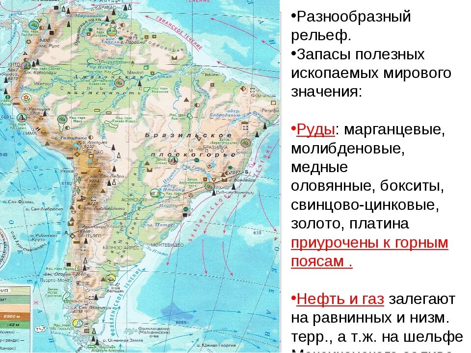 Рельеф сша 7 класс география. Рельеф Латинской Америки на карте. Рельеф Южной Америки 7. Карта полезных ископаемых Южной Америки. Полезные ископаемые Южной Америки на карте.