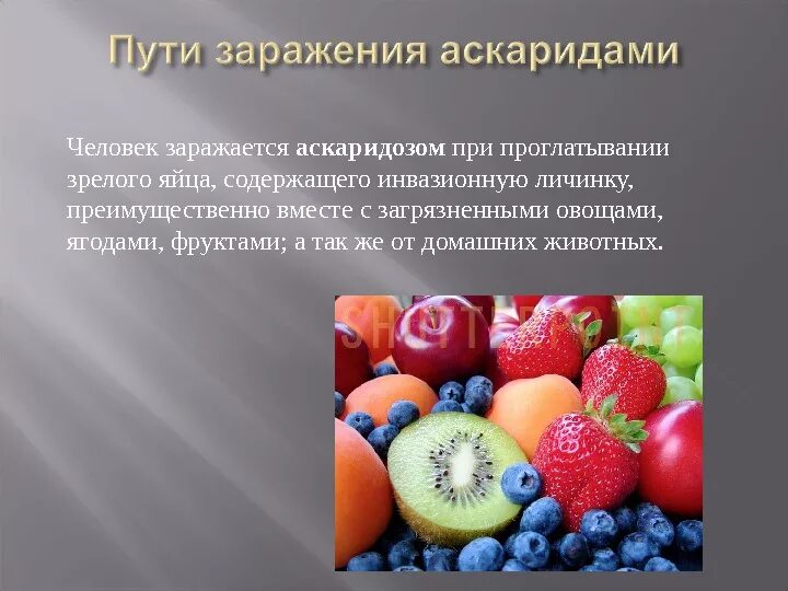 Какие продукты могут послужить источником при аскаридозе. Как можно заразиться аскаридами. Человеческая аскарида как заразиться. Как человек может заразиться аскаридой. Человек может заразиться аскаридозом.