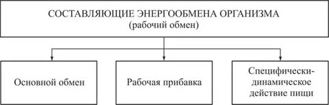 Рабочий обмен