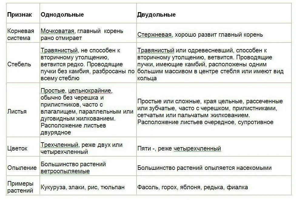 Признаки однодольных и двудольных растений таблица. Характеристика однодольных и двудольных растений таблица. Сра́внительная таблица однодольных и двудольных растений. Характеристика классов однодольных и двудольных растений таблица.