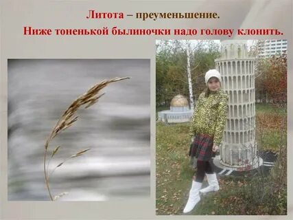 Преуменьшение это