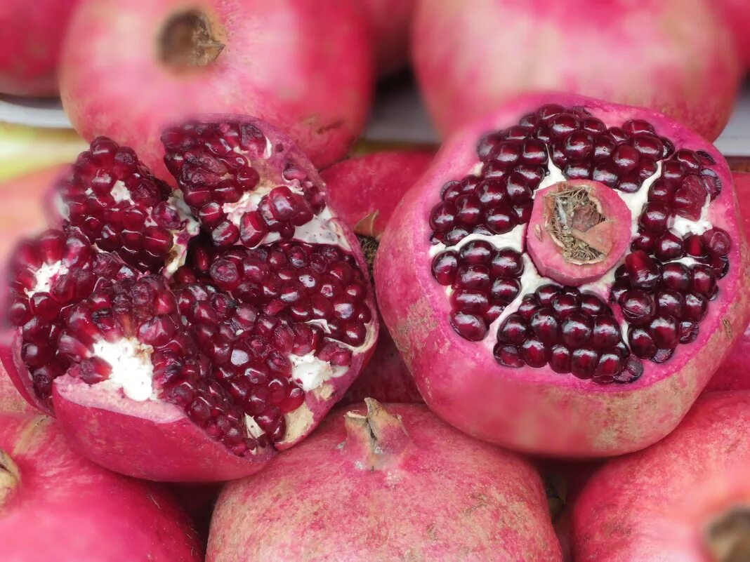 Сорт гранатовый. Сорт граната азербайджан. Гранат сорт вандерфул. Punica granatum. Гранат дхолка.