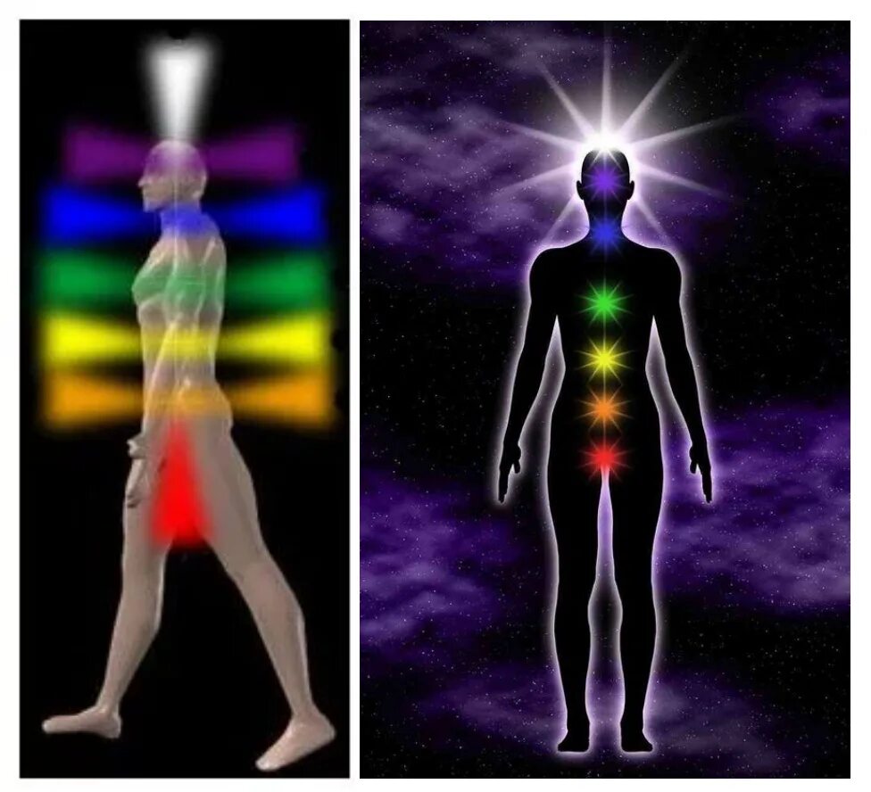 Обозначение цветов ауры человека. Упражнение для предплечья с гантелей. Биополе человека. Масло для чакр young living. Энергетические чакры человека описание.