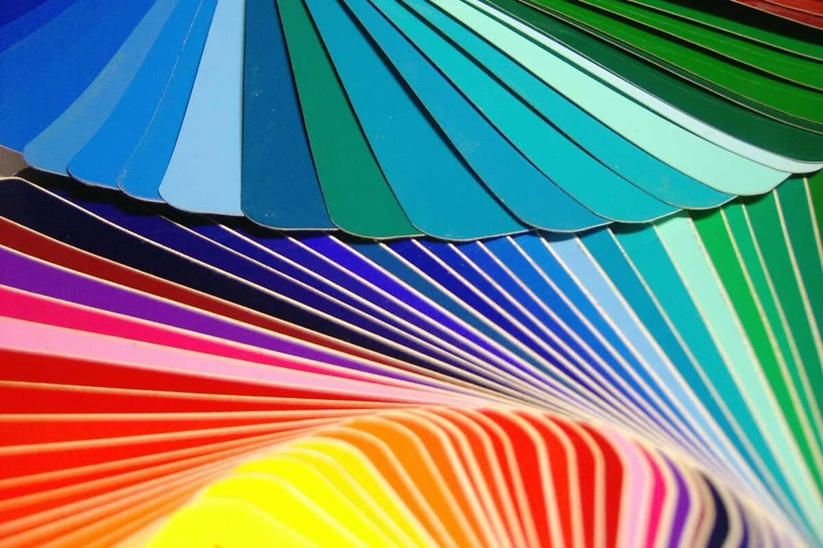 Режим апартеида. Обозначение цветов в дизайне. Because color. Because color. Психология цвета для художников.