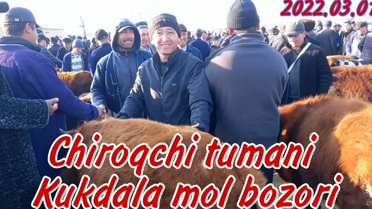 Кукдала об хав. Чирокчи тумани. кўкдала тумани. chiroqchi kukdala. кукдала тумани хокими.