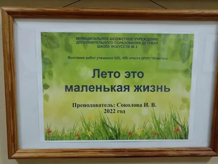 Выставки лета 2013