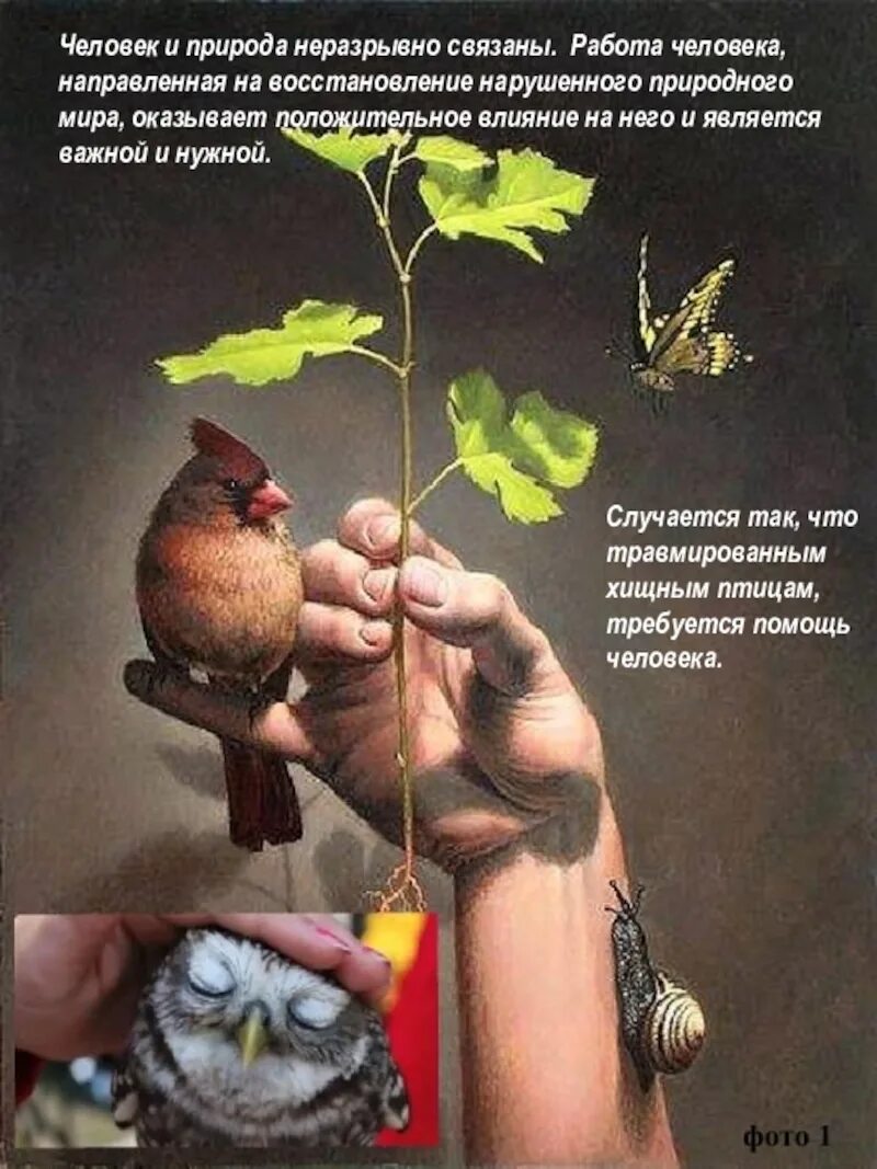 Человек и природа неразрывно