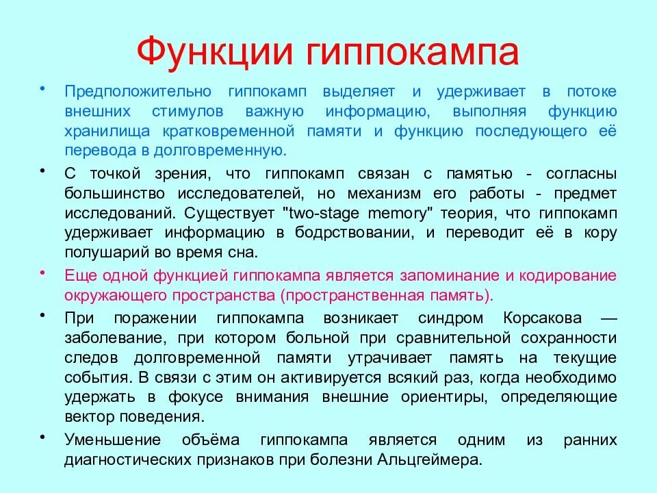 Повреждение гиппокампа. Функции гиппокампа головного мозга. Гиппокамп функции. Гиппокамп анатомия функции. Функции гиппокампа физиология.