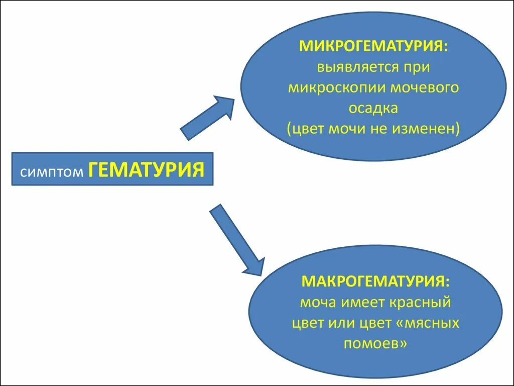 Симптомы гематурии является
