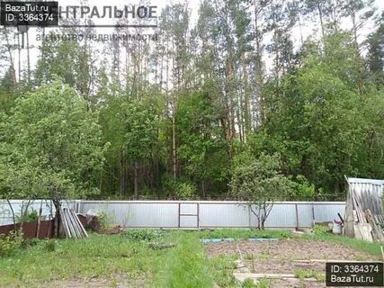 Снт оптимист высокая