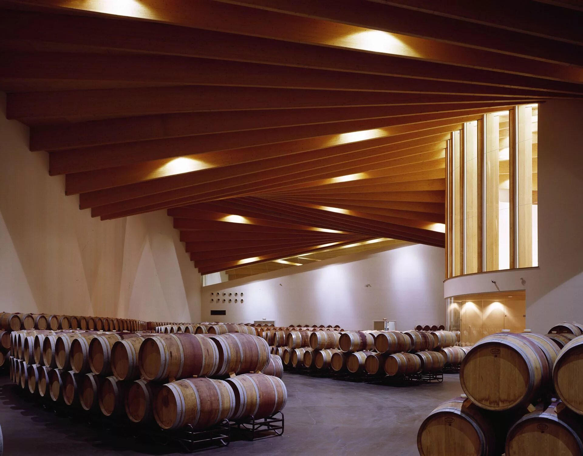 Bodega rioja