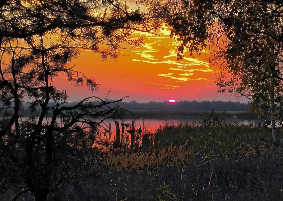 вечерний пейзаж. пейзаж вечер. рассвет на реке. закат над рекой. закат на реке.