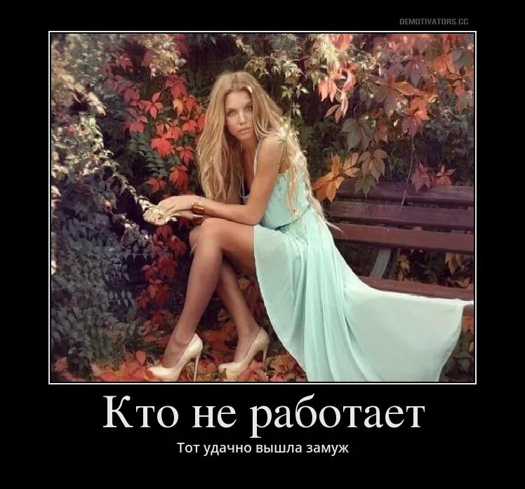 Шутки про метлу. Женщина домохозяйка. Женщины больше не умеют. Цитаты из книг. Британские девушки.
