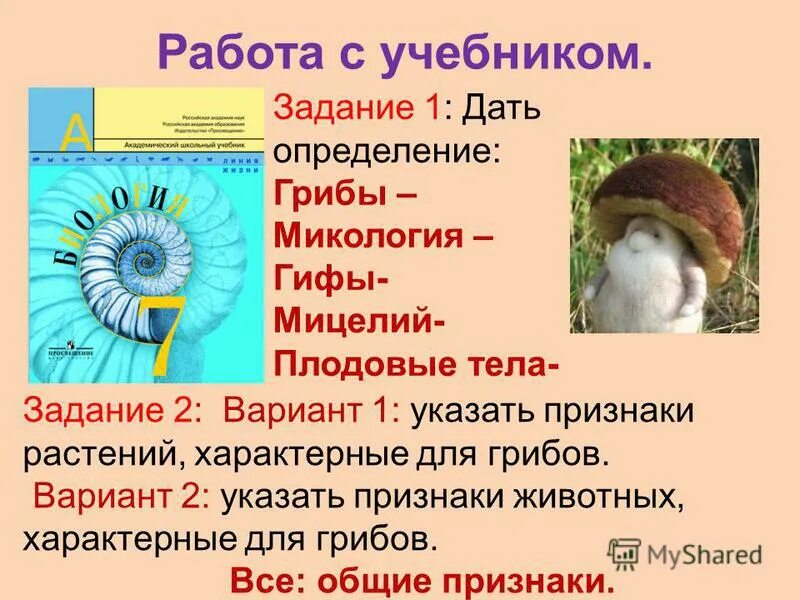 Укажи признак характерный для животных. Укажи признак характерный для животных