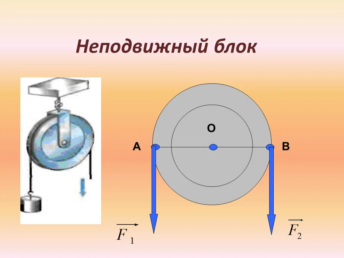 Неподвижный блок физика 7