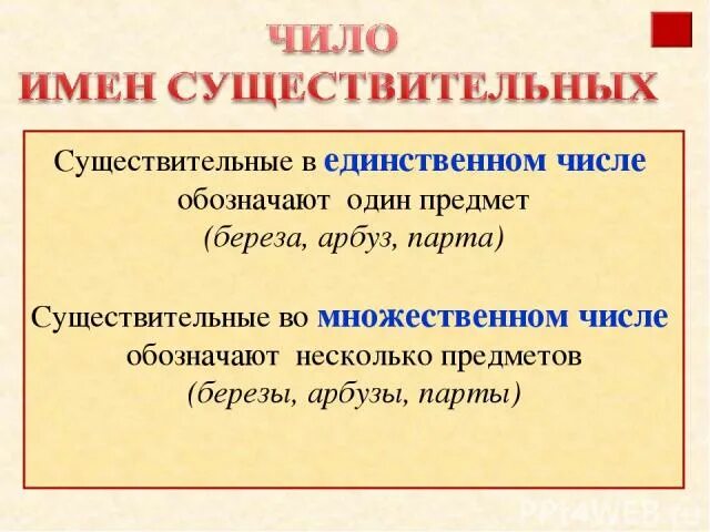 Детвора единственное число. Существительные в форме единственного числа обозначают. Береза множественное число. Береза во множественном числе пример. Арбуз во множественном числе.