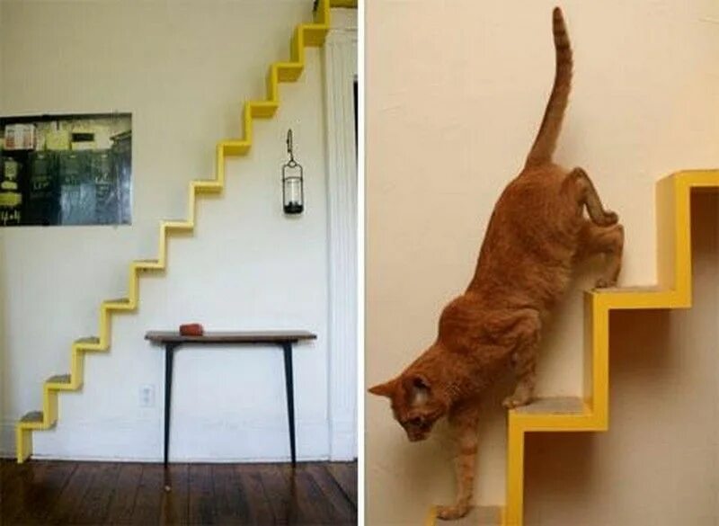 Кот поднимается. Лестница для кота. лестница для кошки на шкаф. лесенка для кошек. лестница доч кота.