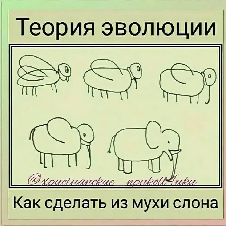 Как слон значение фразеологизма. Из мухи слона. сделать из мухи слона. раздувать из мухи слона. делать из мухи слона рисунок.
