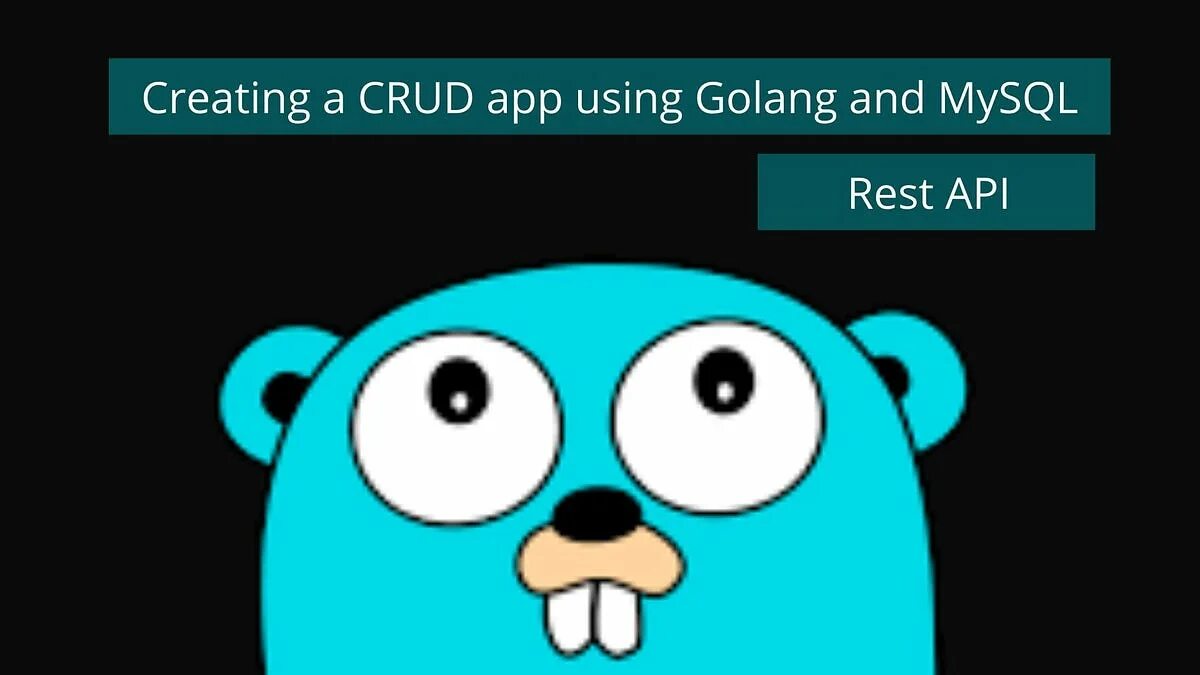 Golang args. Golang. иконка golang. гофер golang. golang зверек.