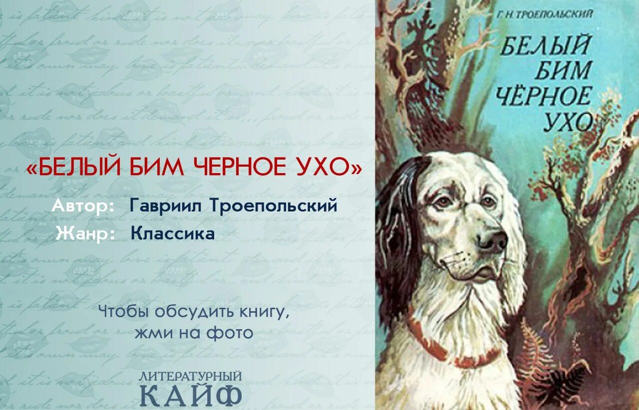 Читать книги бим черное ухо. Г Троепольский белый Бим черное ухо. Троепольский белый Бим черное ухо книга. Автор белый Бим черное ухо Автор книги.