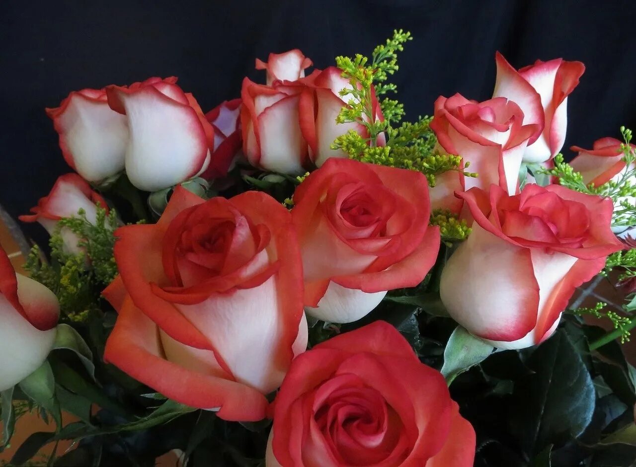 Цвет цветов для любимой женщины. Роскошные цветы. Красивый букет роз. Шикарные цветы. Цветы для любимой.