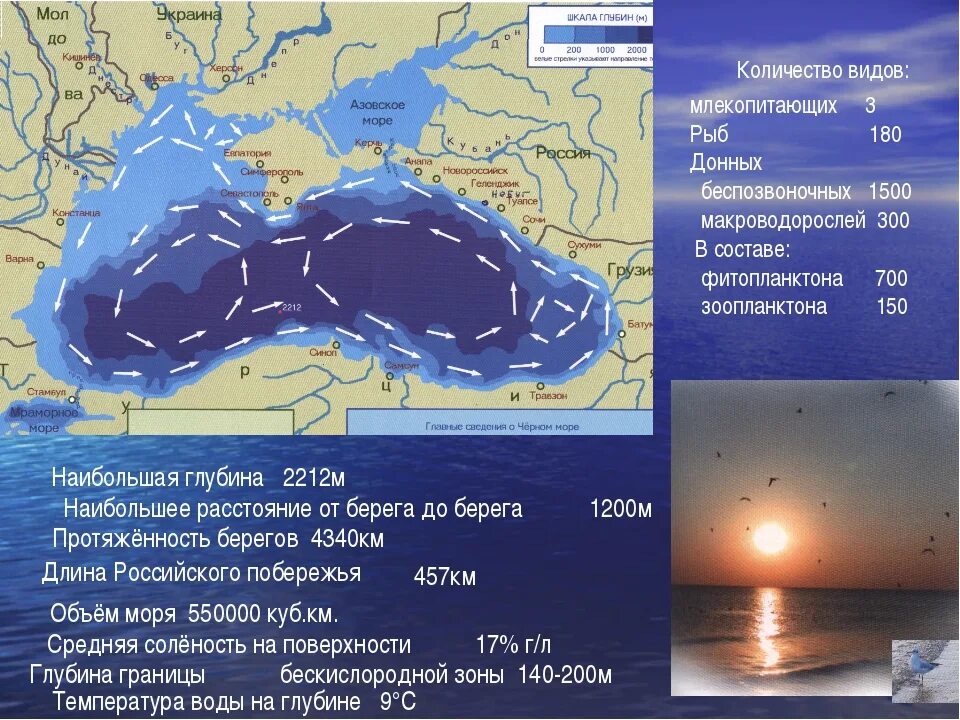 Карта черных вод. Глубина чёрного моря средняя и максимальная. Чёрное море глубина рельеф дна. Средняя глубина черного моря. Глубина чёрного моря максимальная на карте.