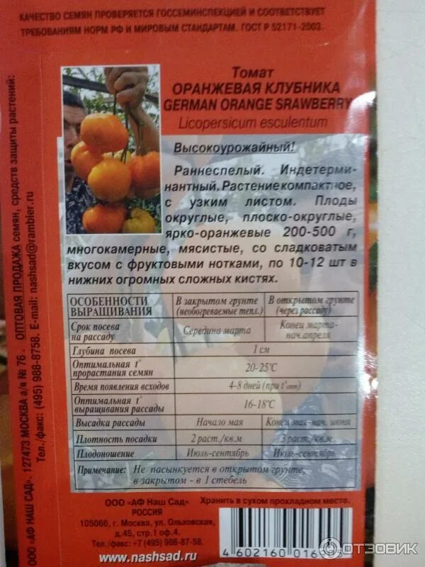 Томат семена мязиной немецкая оранжевая клубника. Немецкая оранжевая клубника характеристика. Немецкая оранжевая клубника характеристика. Томат немецкая оранжевая клубника характеристика. Томат немецкая оранжевая клубника характеристика.