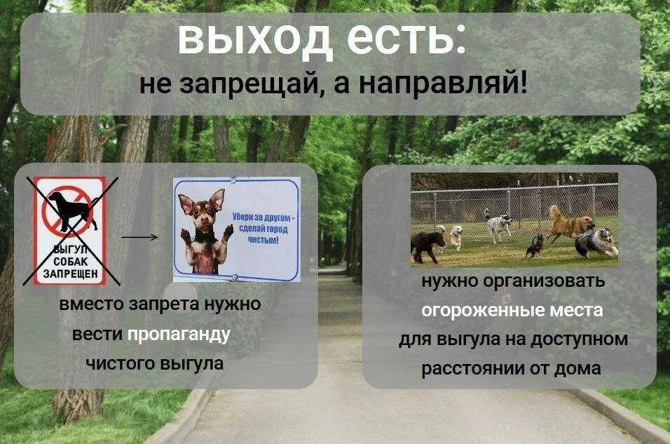 Закон о собаках в общественных