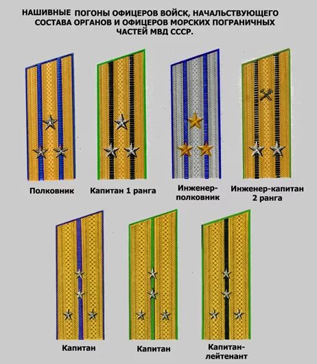 погоны пограничных войск.