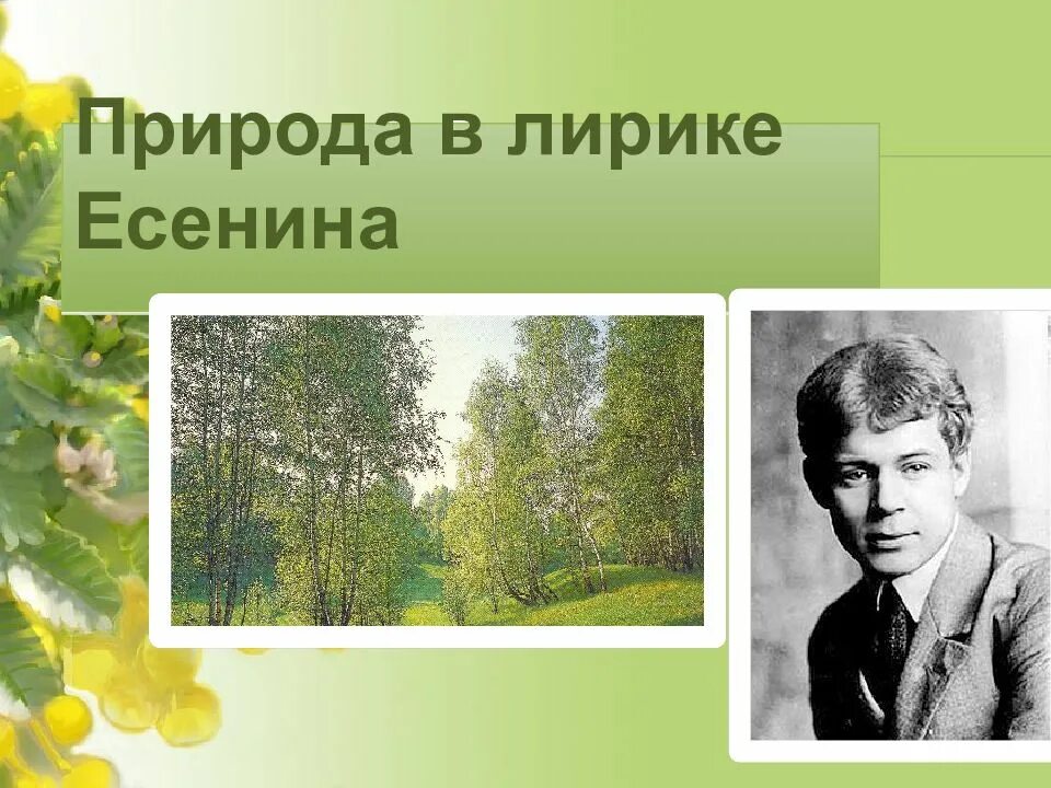 Природа в лирике Есенина. Стихотворение Есенина о природе. Тема природы в лирике. Лирический мир есенина