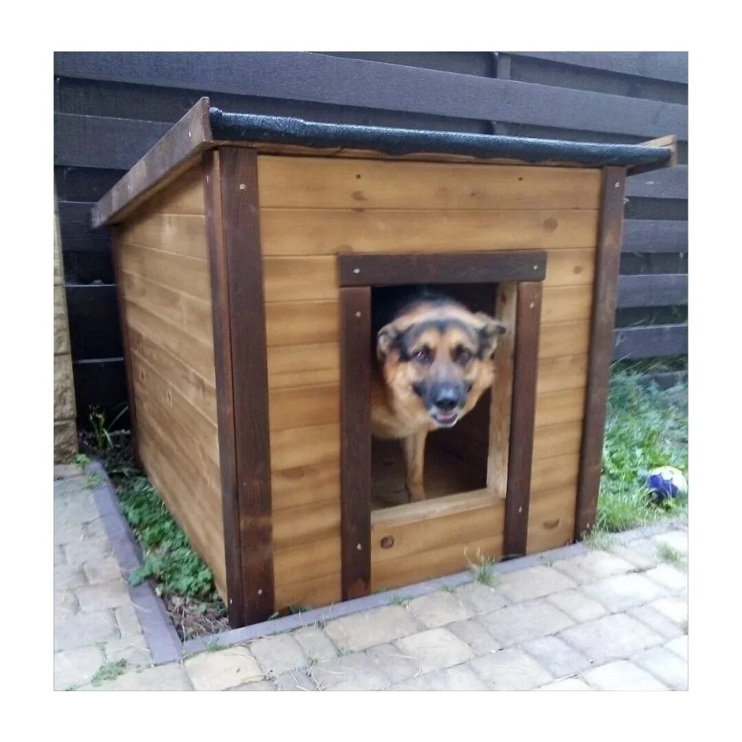 15 Best Outdoor Dog Houses - Type of Outdoor Houses for Dogs