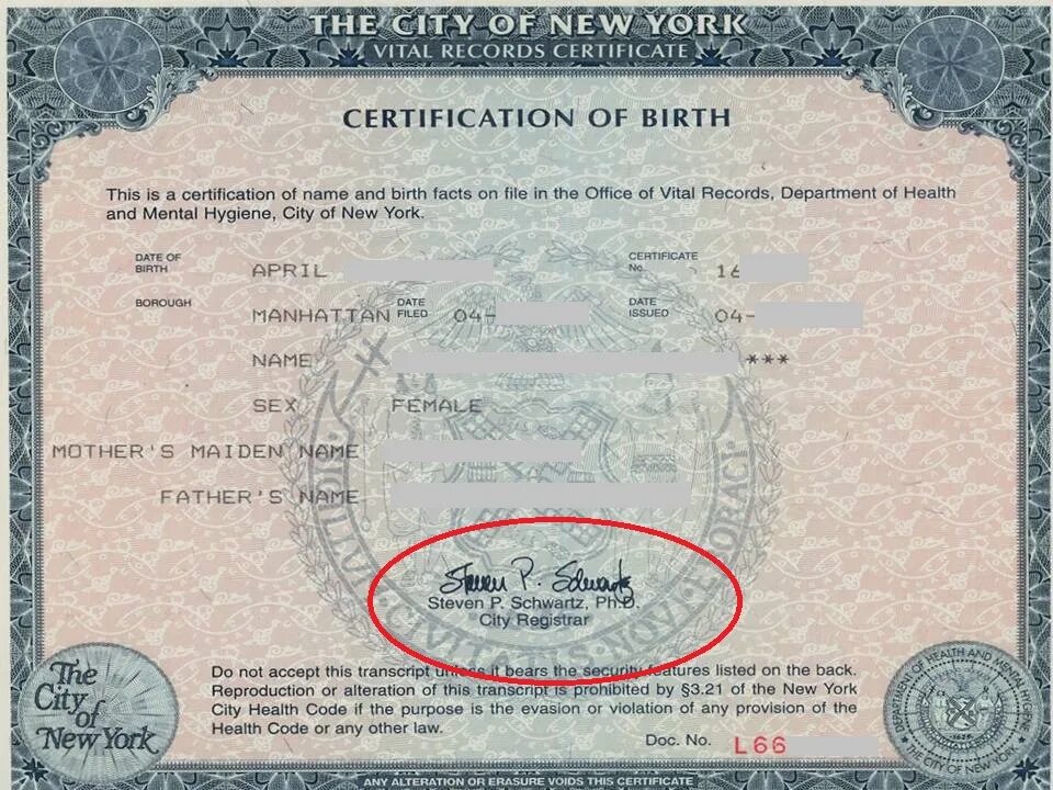 Accepted name. Birth Certificate. Birth Certificate USA. Certificate of Registration of Birth. Свидетельство о рождении США Нью Йорк.