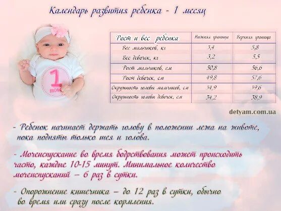 Таблица развития ребенка по месяцам до года. Рекомендации для родителей по уходу за новорожденным. Ребенок 1 год 1 месяц. Игрушки для малышей до года. Схема развития ребенка по месяцам.
