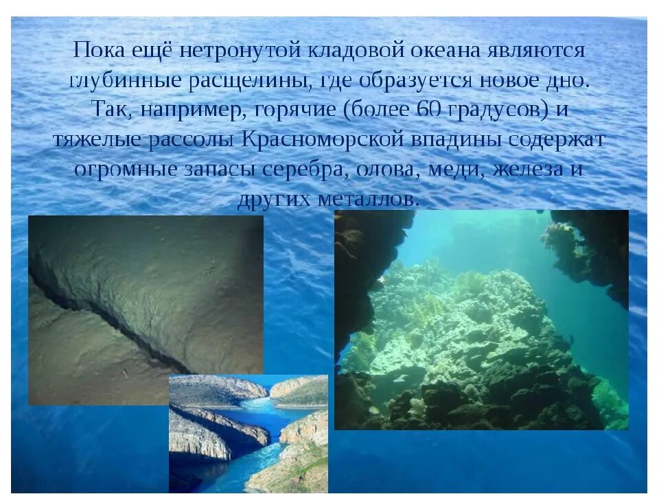 Сообщение о мировом океане 6 класс. Мировой океан презентация. сообщение на тему мировой океан. проект на тему мировой океан.