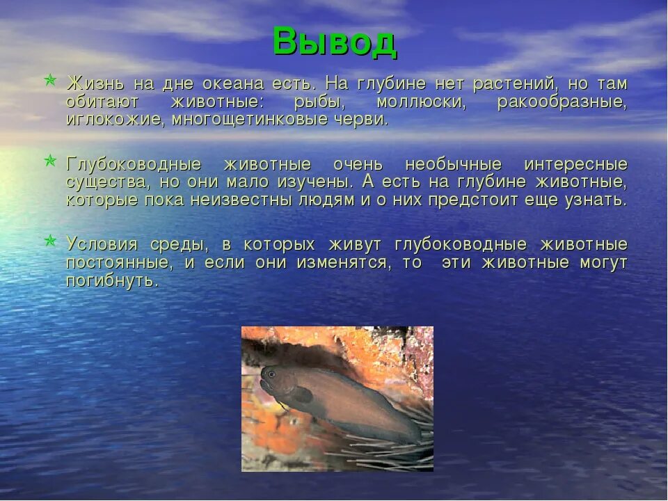 Сообщение на тему жизнь в мировом океане. Жизнь на дне океана рассказ. жизнь на дне океана доклад. жизнь на дне океана презентация. небольшой рассказ жизнь на дне океана.
