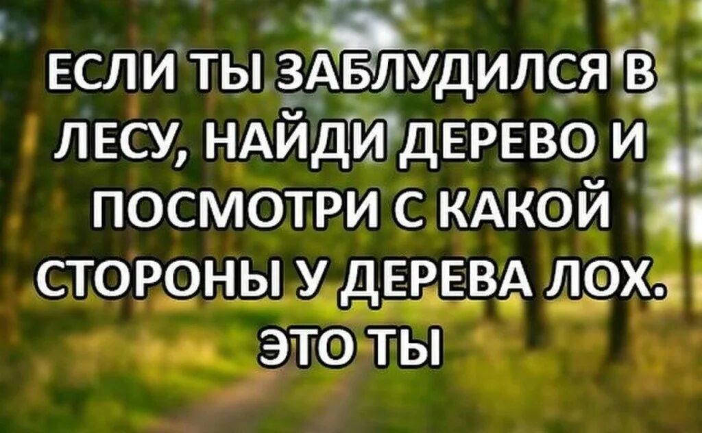 Чтобы не заблудиться я решил вернуться. Заблудился в лесу прикол. Заблудились в лесу анекдот. Анекдоты заблудился. Шутки про заблудившихся.