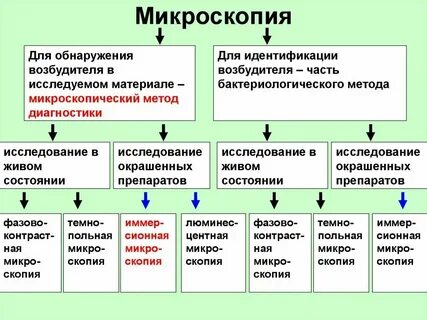 Общий метод исследования это