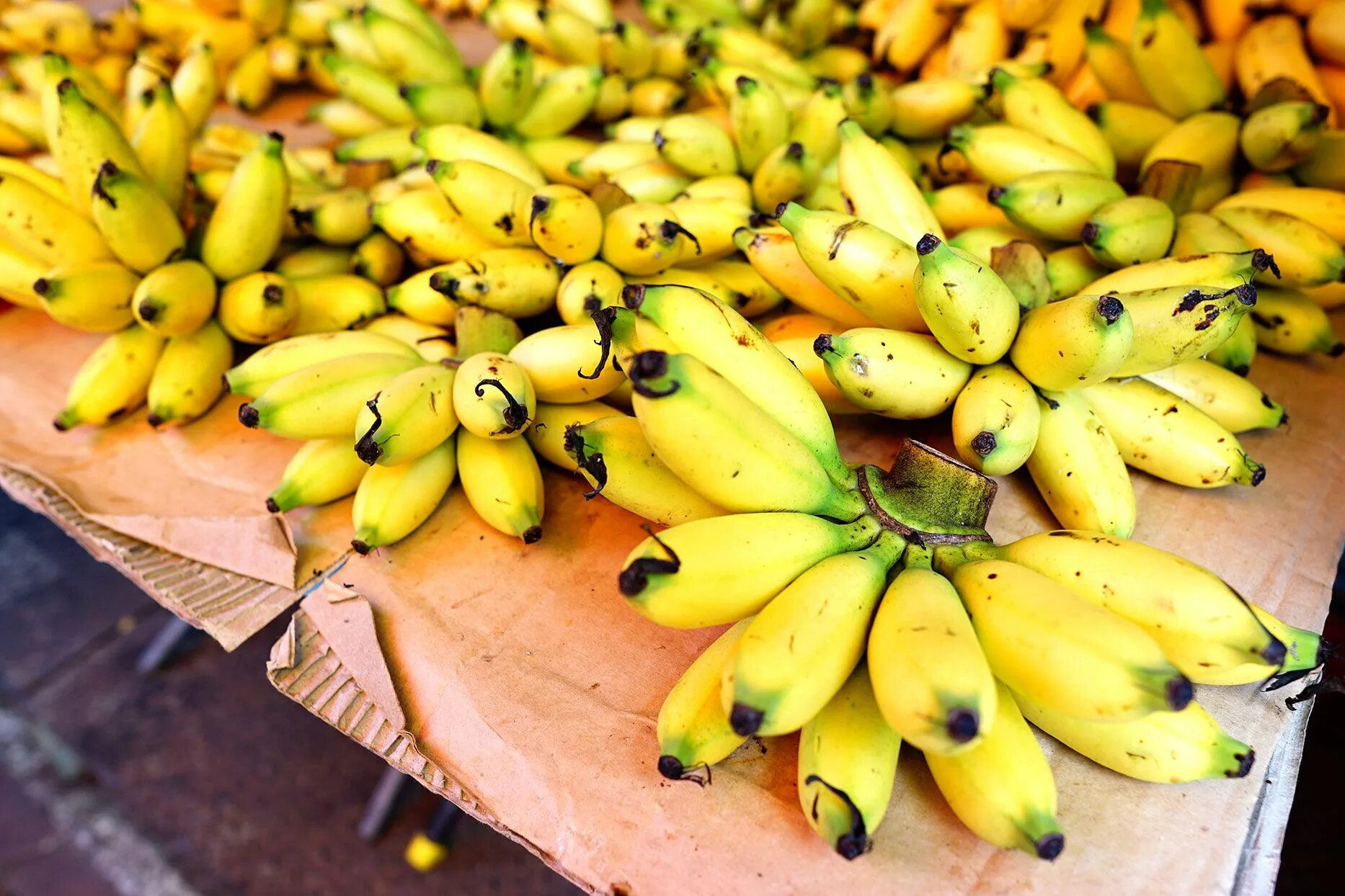 Бананас литл. Группа little big bananas. Маленькие бананчики. Банан композиция. Литтл биг бананас.