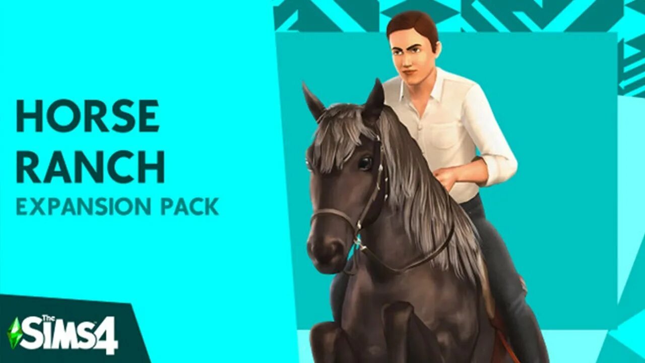 4 horse