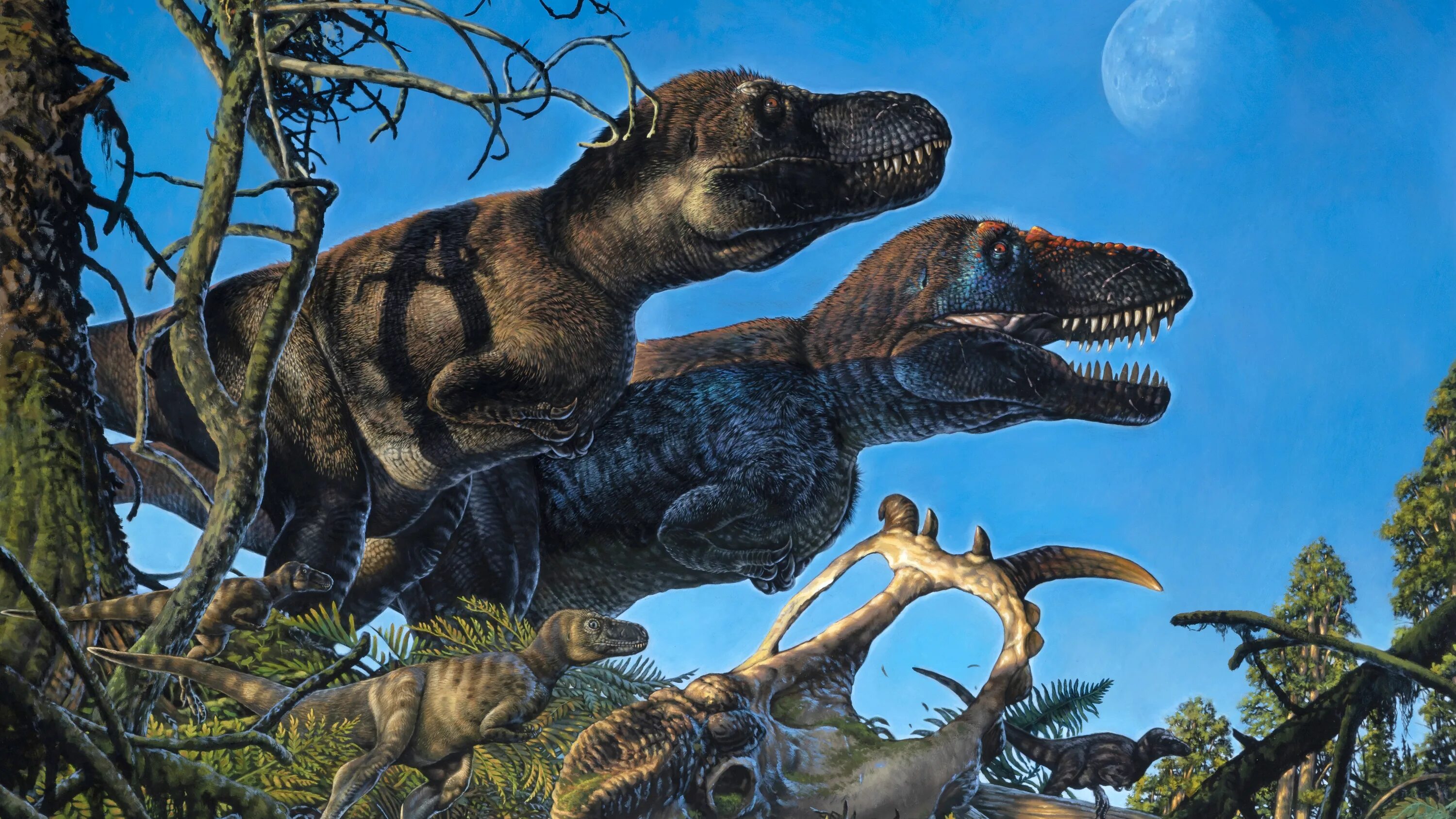 Тираннозавр меловой период. Тираннозавр рекс. Тираннозавр динозавры мелового периода. Нептичьи динозавры Тиранозавр. Dino human